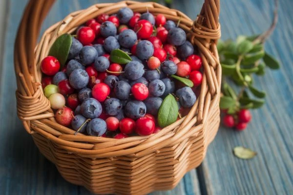 Dramatic Drop in Netherlands' Blueberry and Cranberry Prices to $6,809 per Ton