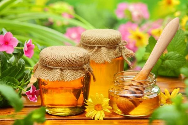 Which Countries Import the Most Honey?
