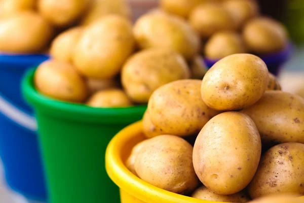 Potato Market in the USA - Key Insights