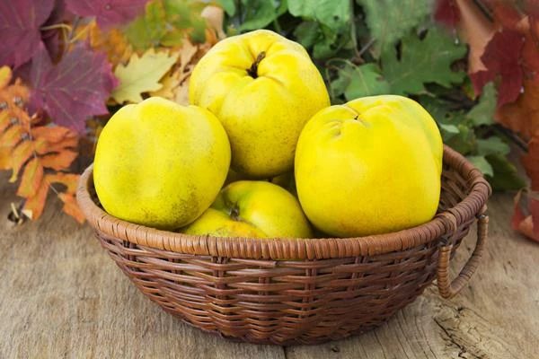Price of Quince in the Netherlands Sees Slight Increase to $2,006 per Ton