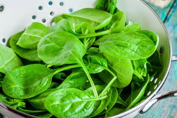 Germany's Spinach Price Soars 24% to $3,917 per Ton After Three Consecutive Months of Increase