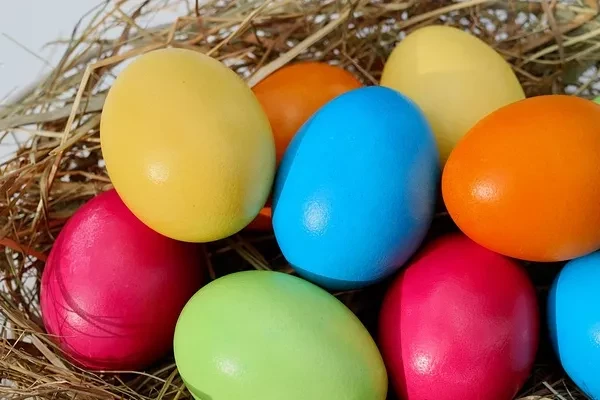 Poland's Egg Product Price Rises Modestly to $3,977 per Ton