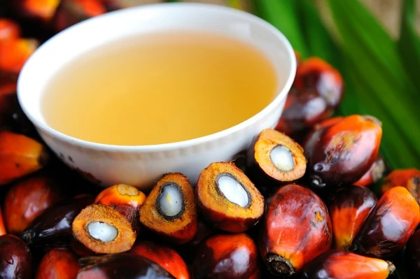 Poland's September 2023 Import of Palm Oil Reaches $33M