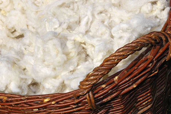 China’s Wool Grease Exports Plunged 27% in 2014