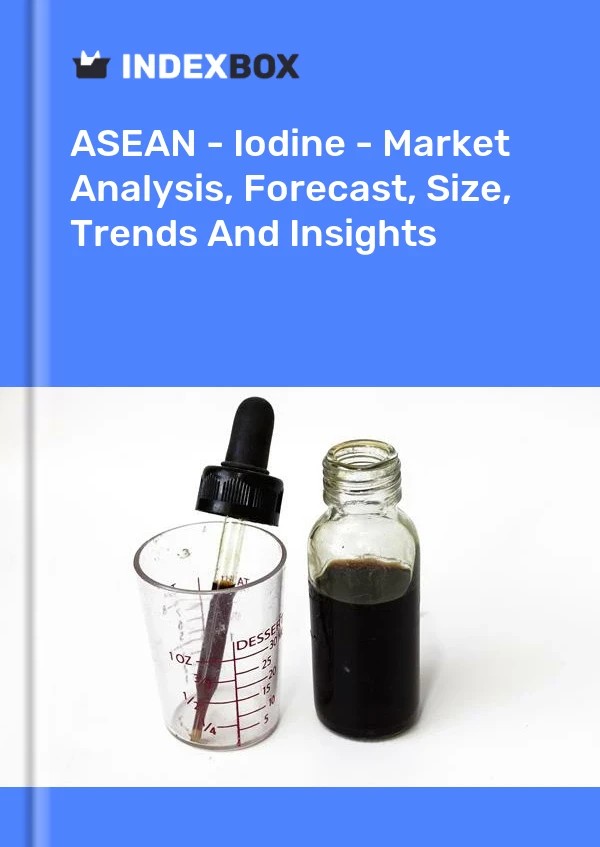 Report ASEAN - Iodine - Market Analysis, Forecast, Size, Trends and Insights for 499$