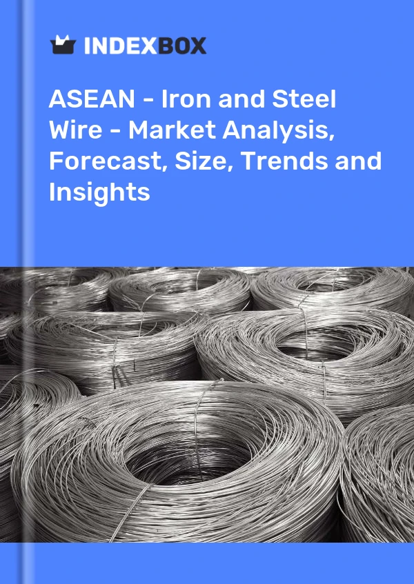 Report ASEAN - Iron and Steel Wire - Market Analysis, Forecast, Size, Trends and Insights for 499$