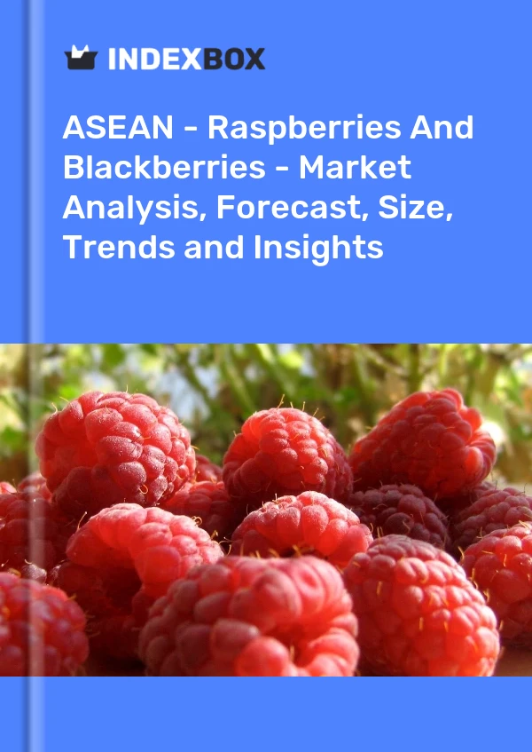 Report ASEAN - Raspberries and Blackberries - Market Analysis, Forecast, Size, Trends and Insights for 499$