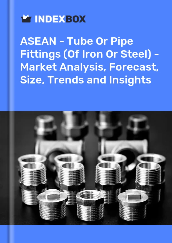 Report ASEAN - Tube or Pipe Fittings (Of Iron or Steel) - Market Analysis, Forecast, Size, Trends and Insights for 499$