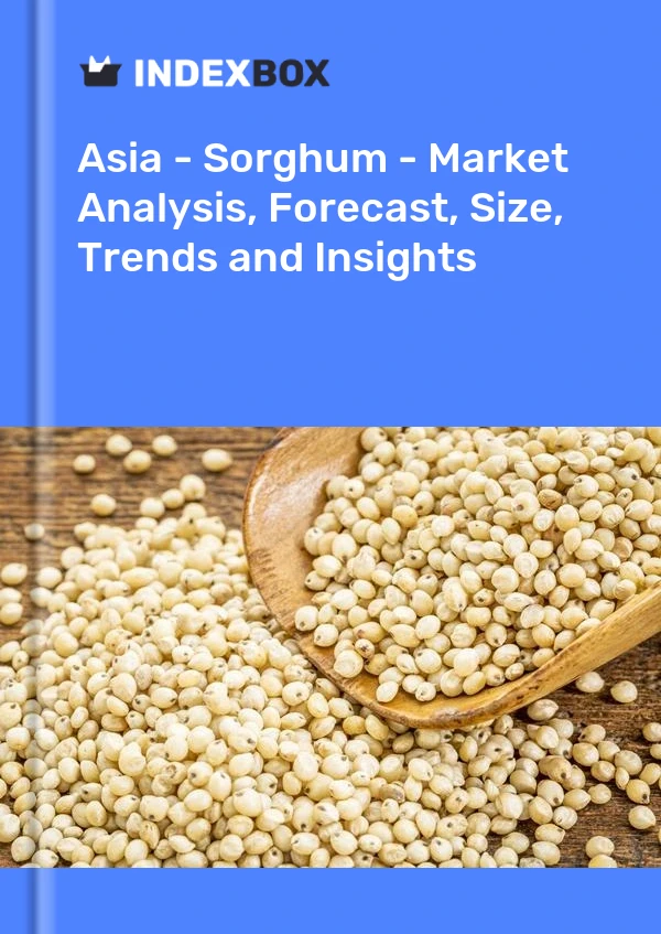Report Asia - Sorghum - Market Analysis, Forecast, Size, Trends and Insights for 499$