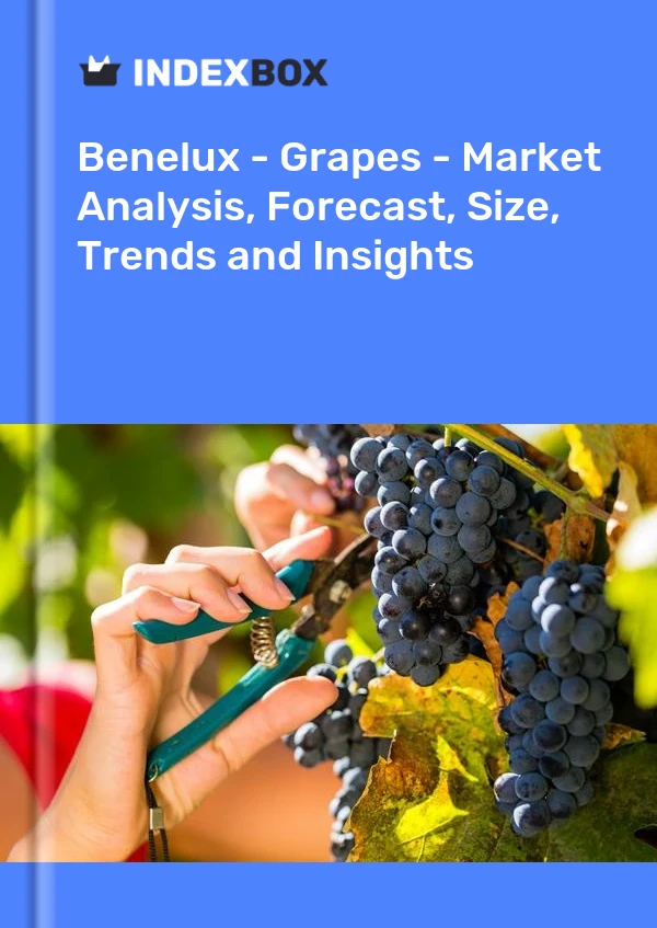 Report Benelux - Grapes - Market Analysis, Forecast, Size, Trends and Insights for 499$