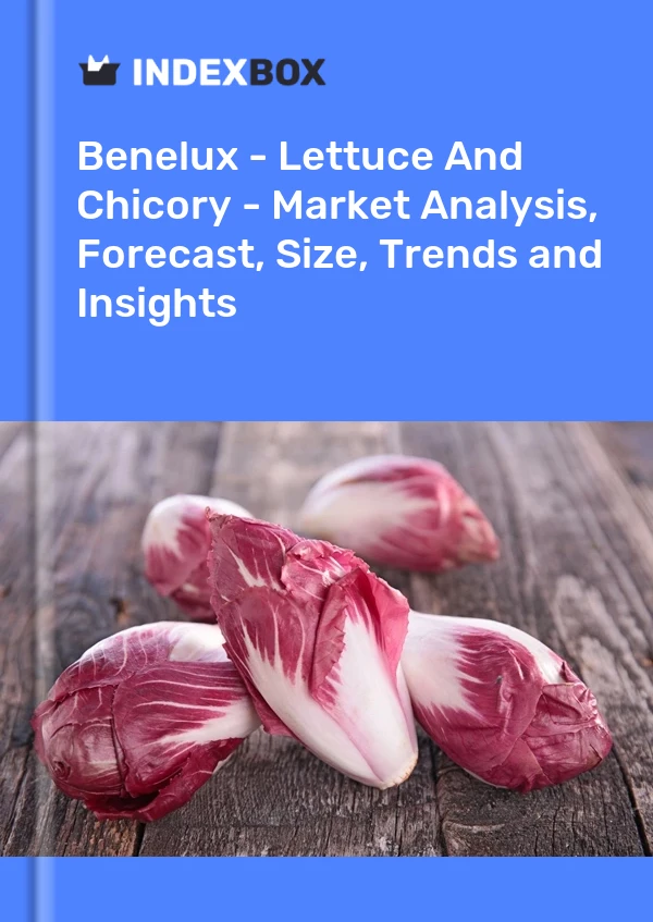 Report Benelux - Lettuce and Chicory - Market Analysis, Forecast, Size, Trends and Insights for 499$