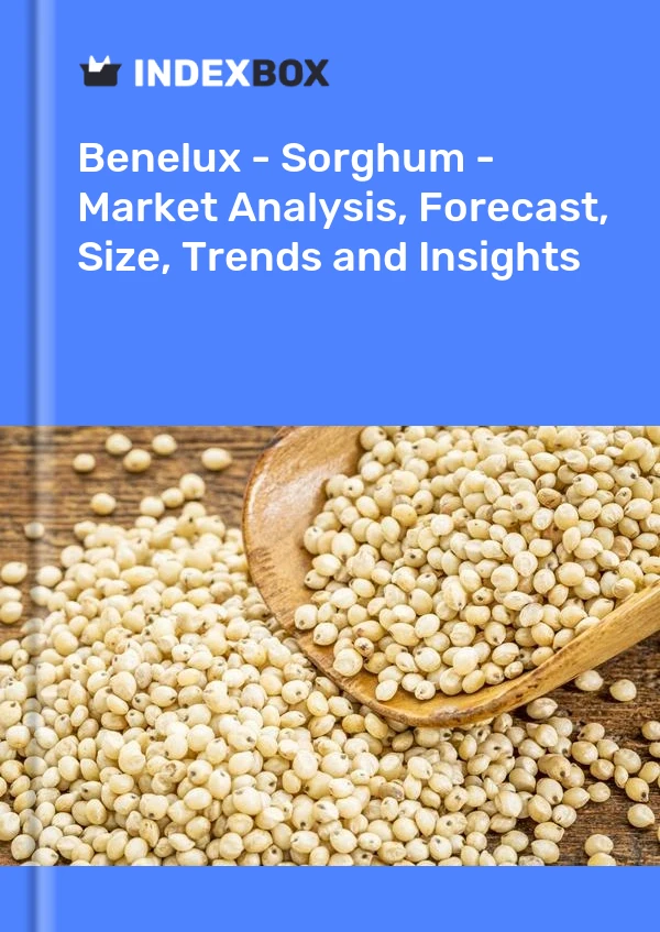 Report Benelux - Sorghum - Market Analysis, Forecast, Size, Trends and Insights for 499$