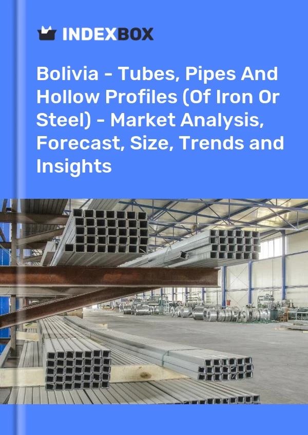 Report Bolivia - Tubes, Pipes and Hollow Profiles (Of Iron or Steel) - Market Analysis, Forecast, Size, Trends and Insights for 499$