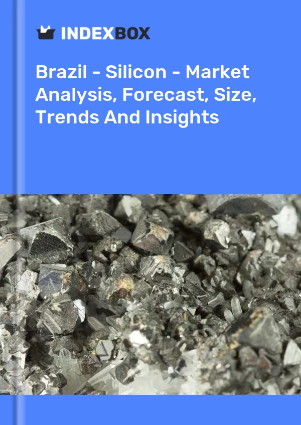 Bildiri Brezilya - Silikon - Pazar Analizi, Tahmini, Büyüklüğü, Eğilimleri ve Öngörüleri for 499$