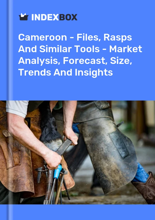Cameroon - Files, Rasps And Similar Tools - Market Analysis, Forecast, Size, Trends And Insights