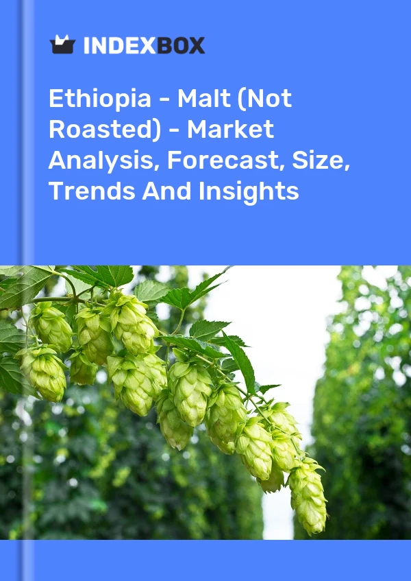 Ethiopia - Malt (Not Roasted) - Market Analysis, Forecast, Size, Trends And Insights