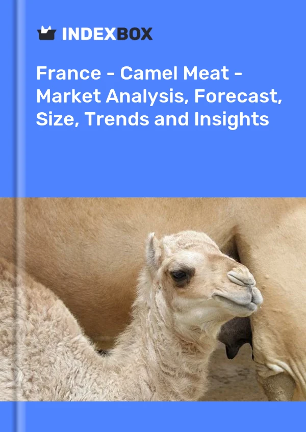 France - Camel Meat - Market Analysis, Forecast, Size, Trends and Insights