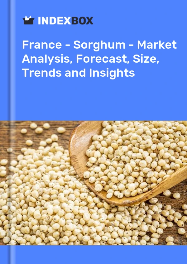 Report France - Sorghum - Market Analysis, Forecast, Size, Trends and Insights for 499$
