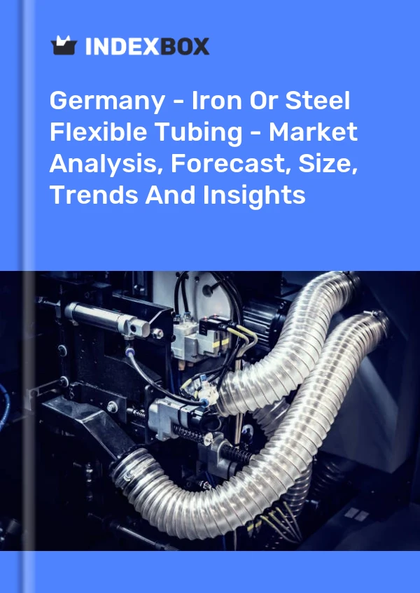 Report Germany - Iron or Steel Flexible Tubing - Market Analysis, Forecast, Size, Trends and Insights for 499$
