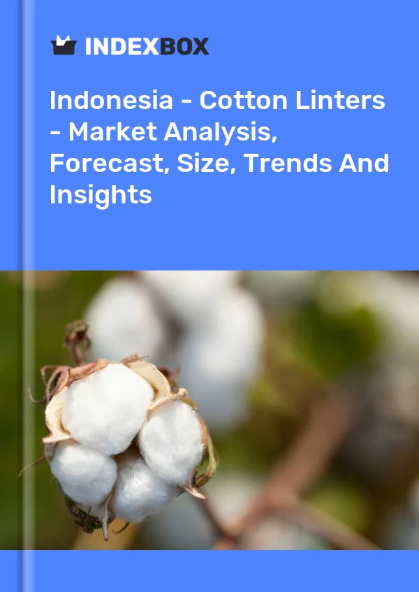 Indonesia - Cotton Linters - Market Analysis, Forecast, Size, Trends And Insights