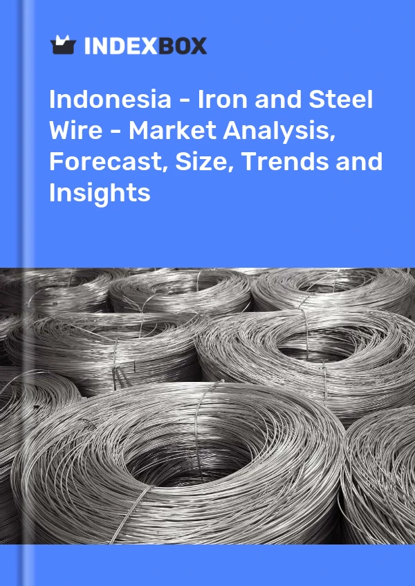 Report Indonesia - Iron and Steel Wire - Market Analysis, Forecast, Size, Trends and Insights for 499$