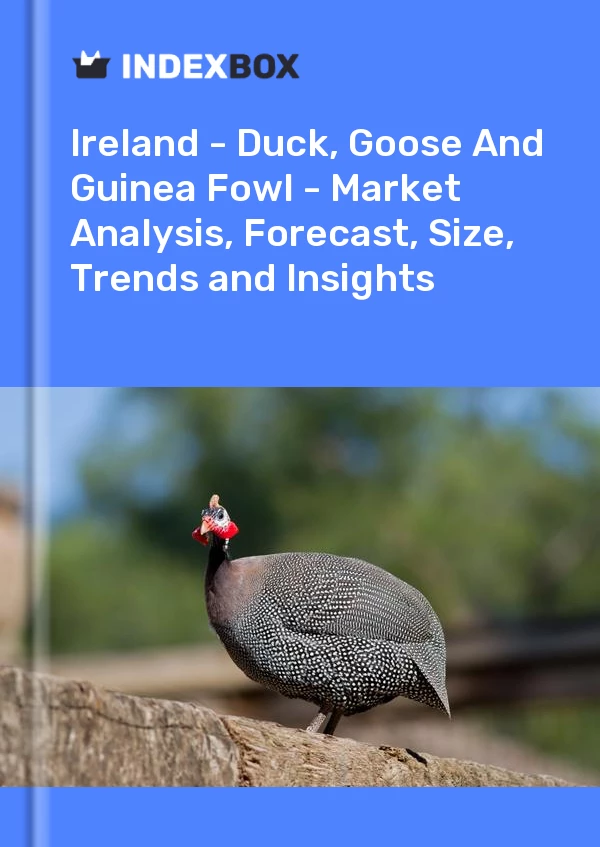 Report Ireland - Duck, Goose and Guinea Fowl - Market Analysis, Forecast, Size, Trends and Insights for 499$