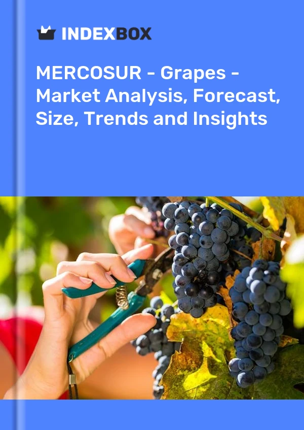 Report MERCOSUR - Grapes - Market Analysis, Forecast, Size, Trends and Insights for 499$