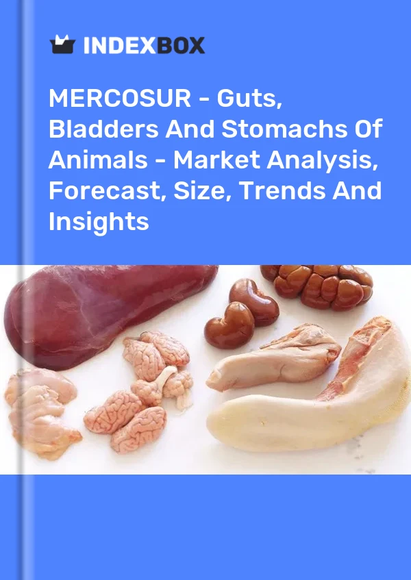 Report MERCOSUR - Guts, Bladders and Stomachs of Animals - Market Analysis, Forecast, Size, Trends and Insights for 499$