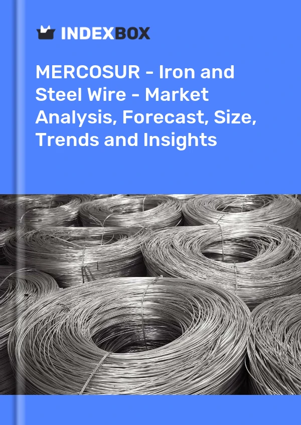 Report MERCOSUR - Iron and Steel Wire - Market Analysis, Forecast, Size, Trends and Insights for 499$
