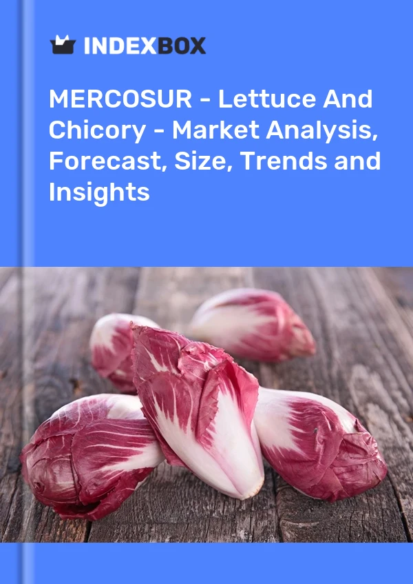 Report MERCOSUR - Lettuce and Chicory - Market Analysis, Forecast, Size, Trends and Insights for 499$