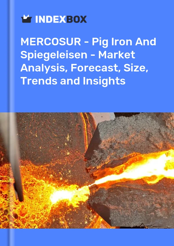 Report MERCOSUR - Pig Iron and Spiegeleisen - Market Analysis, Forecast, Size, Trends and Insights for 499$