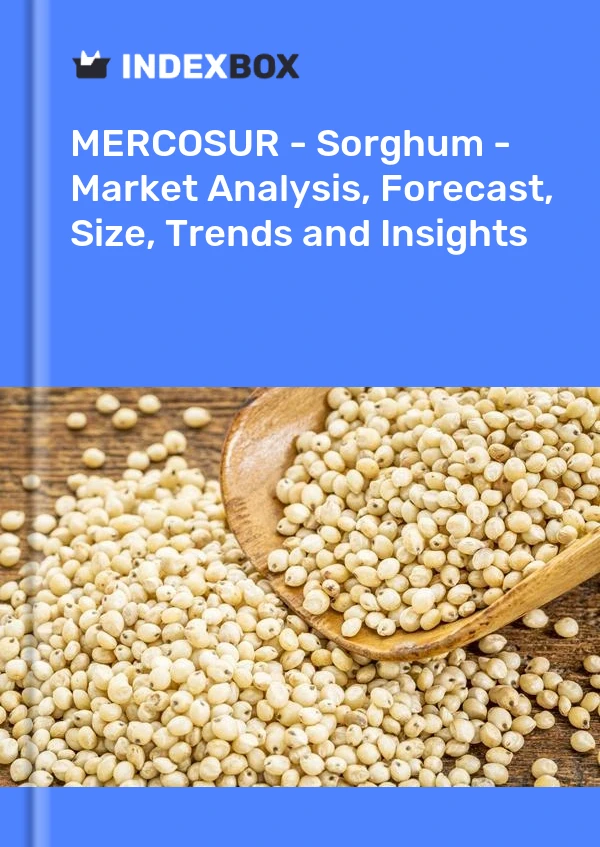 Report MERCOSUR - Sorghum - Market Analysis, Forecast, Size, Trends and Insights for 499$