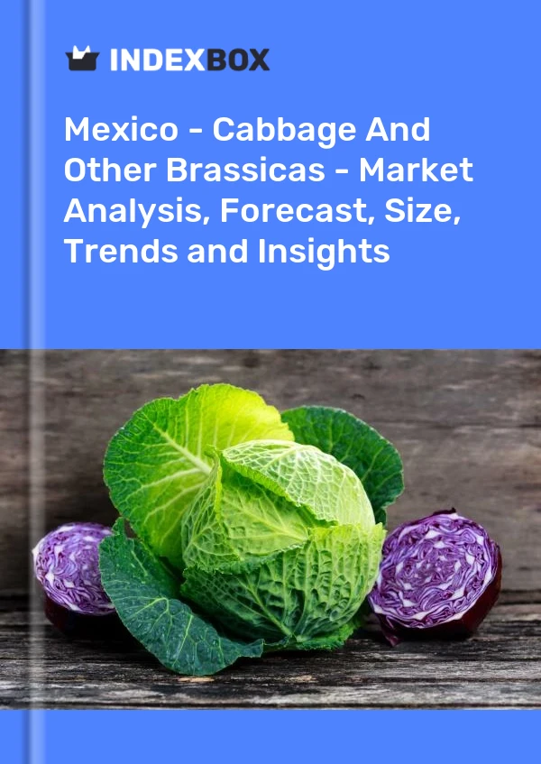 Mexico - Cabbage And Other Brassicas - Market Analysis, Forecast, Size, Trends and Insights