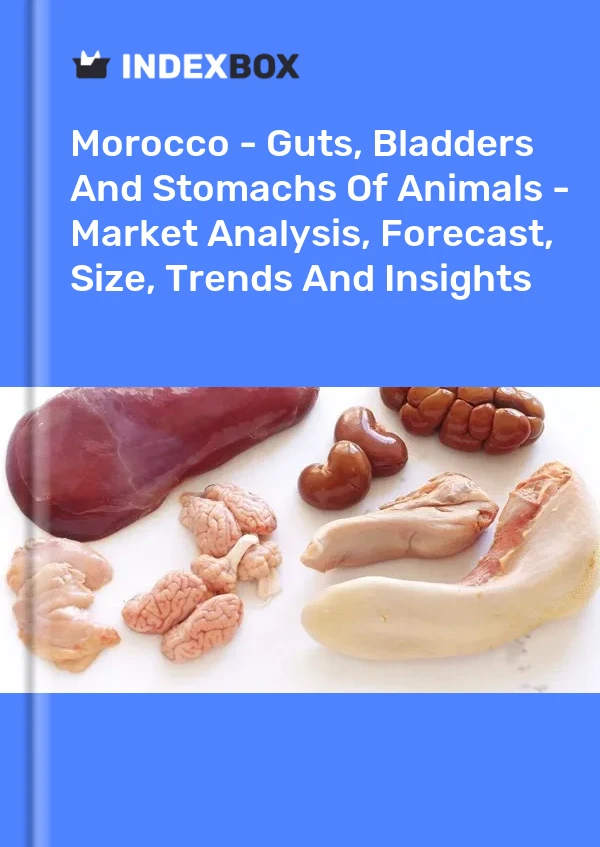 Report Morocco - Guts, Bladders and Stomachs of Animals - Market Analysis, Forecast, Size, Trends and Insights for 499$