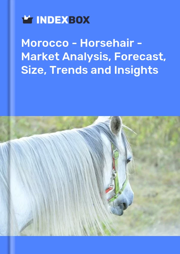 Report Morocco - Horsehair - Market Analysis, Forecast, Size, Trends and Insights for 499$