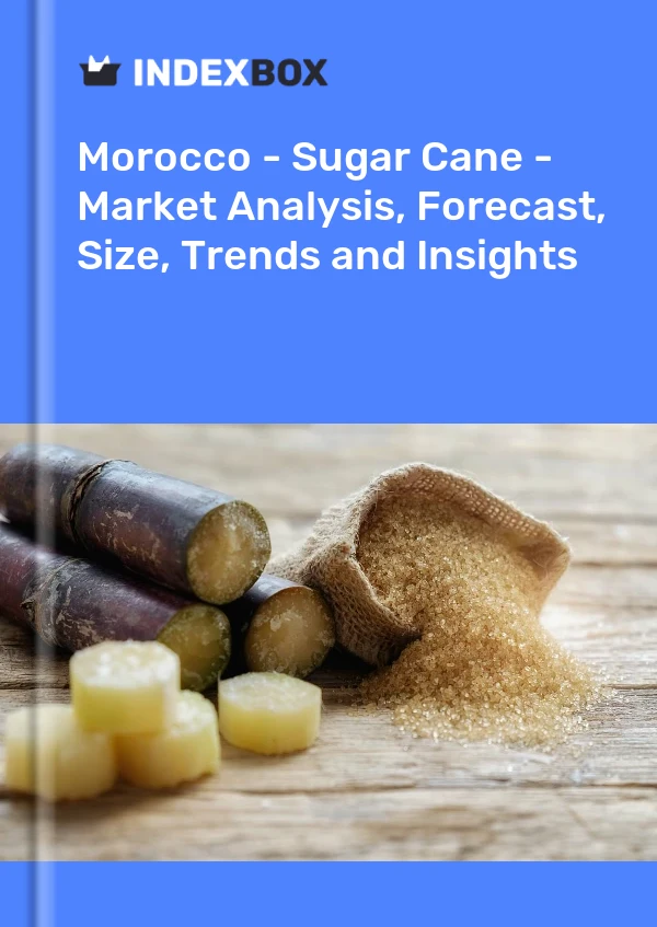 Report Morocco - Sugar Cane - Market Analysis, Forecast, Size, Trends and Insights for 499$