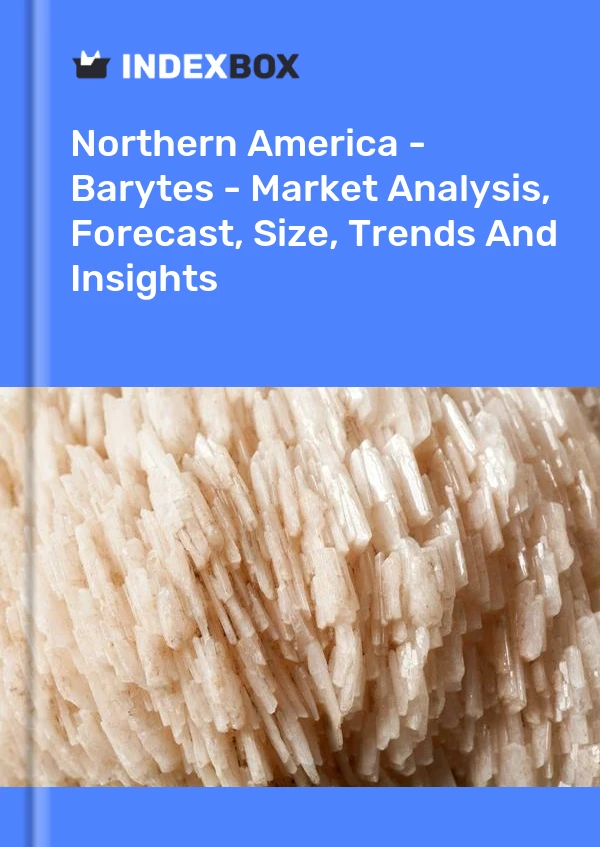 Report Northern America - Barytes - Market Analysis, Forecast, Size, Trends and Insights for 499$