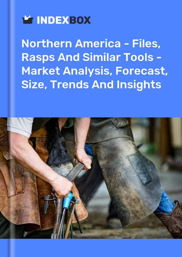 Report Northern America - Files, Rasps and Similar Tools - Market Analysis, Forecast, Size, Trends and Insights for 499$