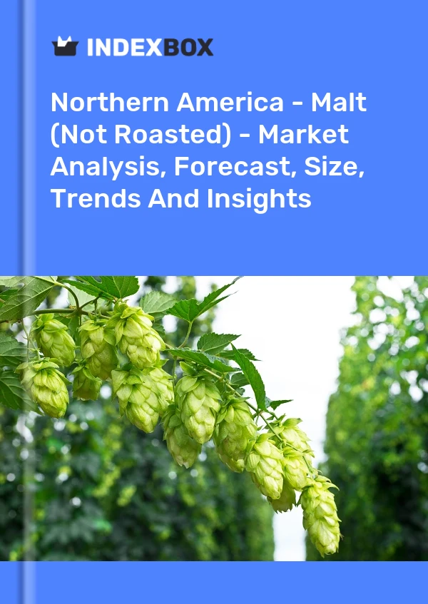 Report Northern America - Malt (Not Roasted) - Market Analysis, Forecast, Size, Trends and Insights for 499$