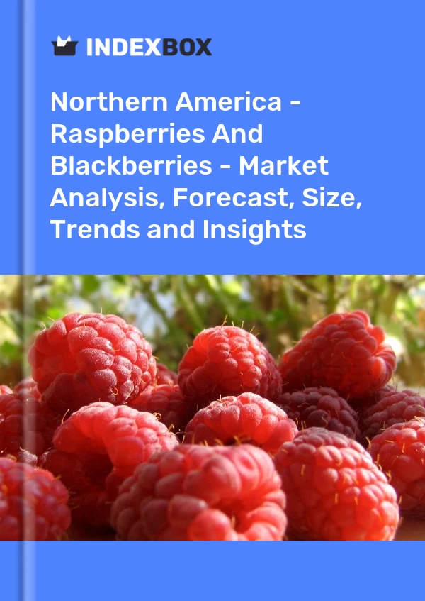 Report Northern America - Raspberries and Blackberries - Market Analysis, Forecast, Size, Trends and Insights for 499$