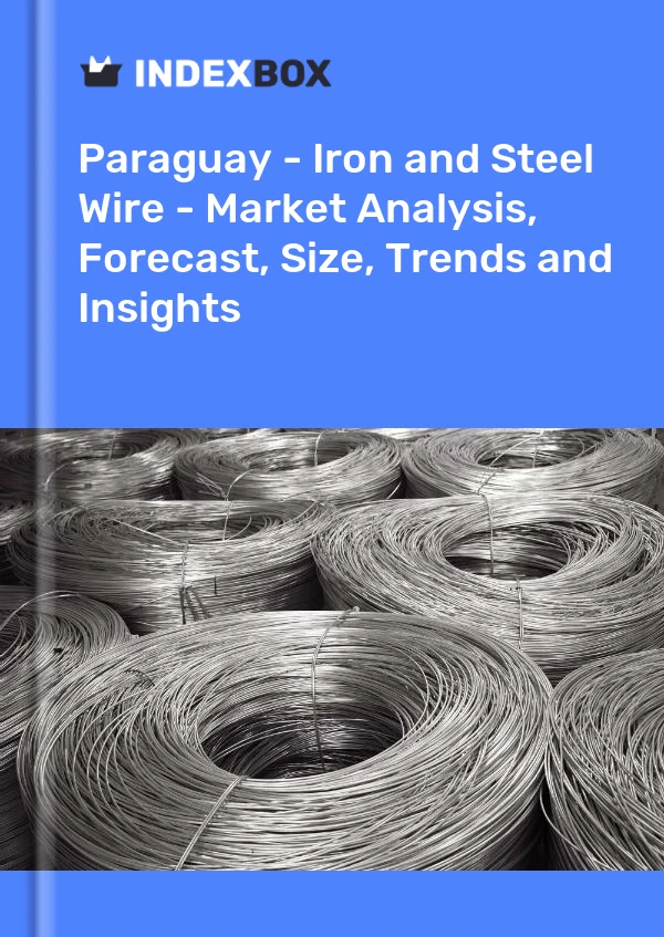Report Paraguay - Iron and Steel Wire - Market Analysis, Forecast, Size, Trends and Insights for 499$