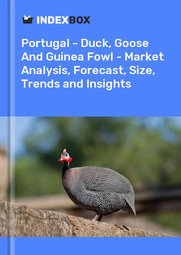 Report Portugal - Duck, Goose and Guinea Fowl - Market Analysis, Forecast, Size, Trends and Insights for 499$