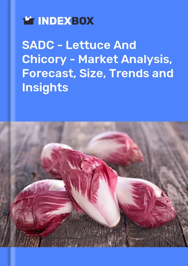 Report SADC - Lettuce and Chicory - Market Analysis, Forecast, Size, Trends and Insights for 499$