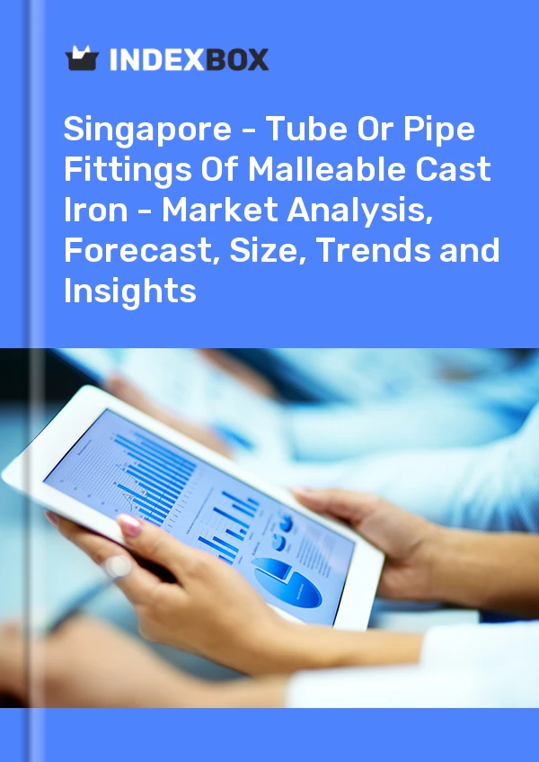 Report Singapore - Tube or Pipe Fittings of Malleable Cast Iron - Market Analysis, Forecast, Size, Trends and Insights for 499$