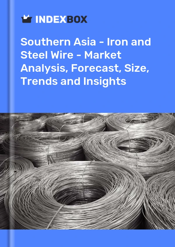 Report Southern Asia - Iron and Steel Wire - Market Analysis, Forecast, Size, Trends and Insights for 499$