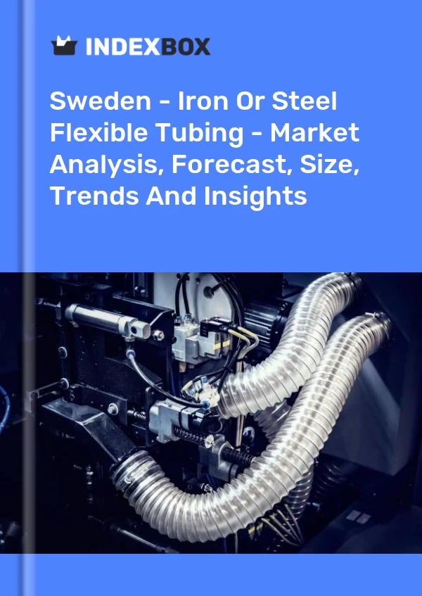 Report Sweden - Iron or Steel Flexible Tubing - Market Analysis, Forecast, Size, Trends and Insights for 499$